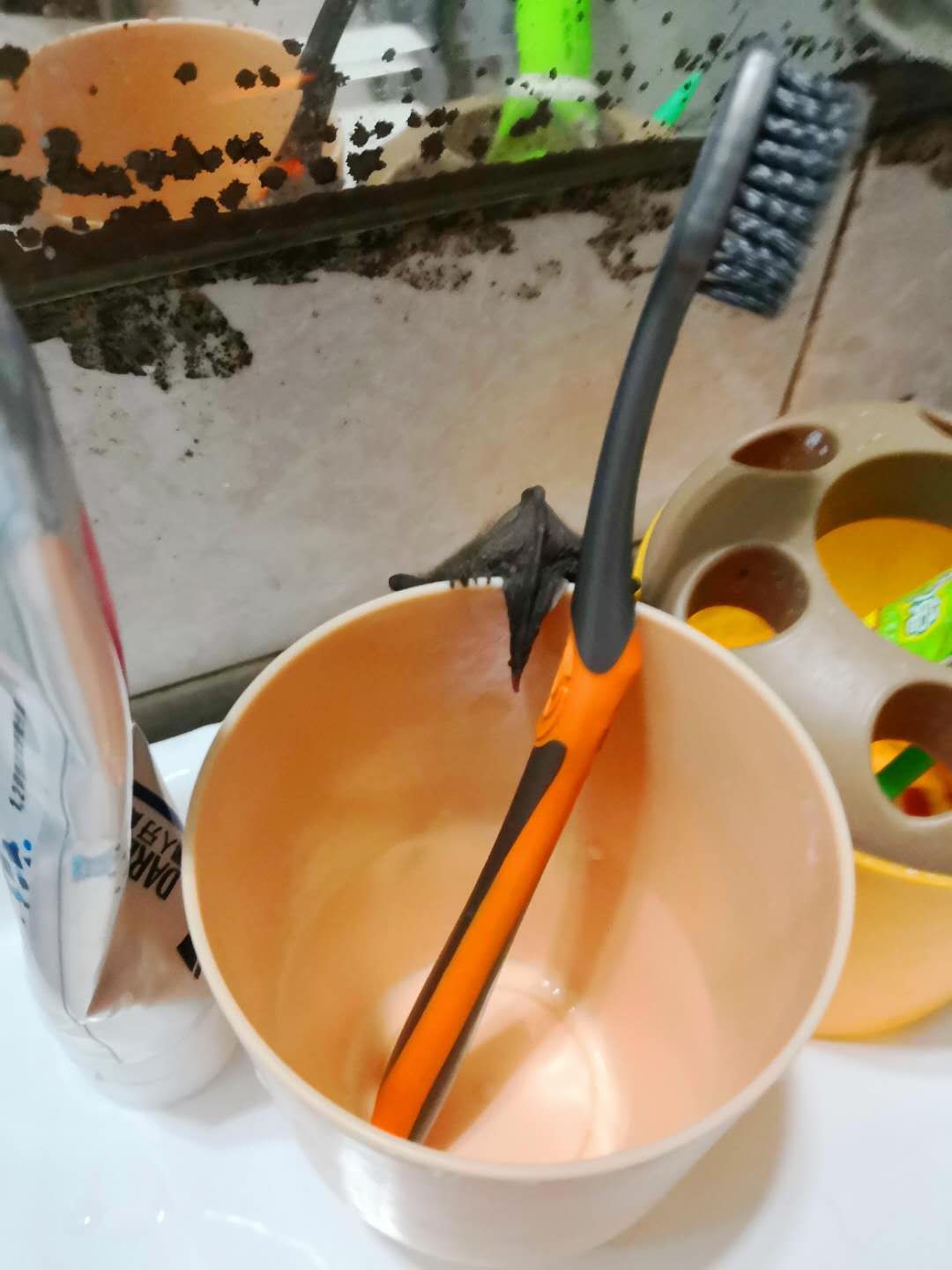 WechatIMG436.jpeg