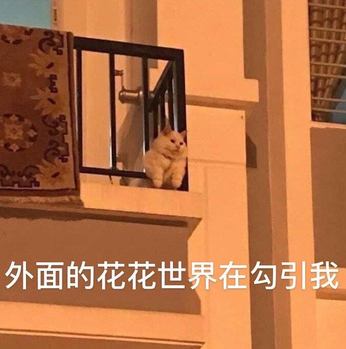 微信图片_20200223153943.jpg