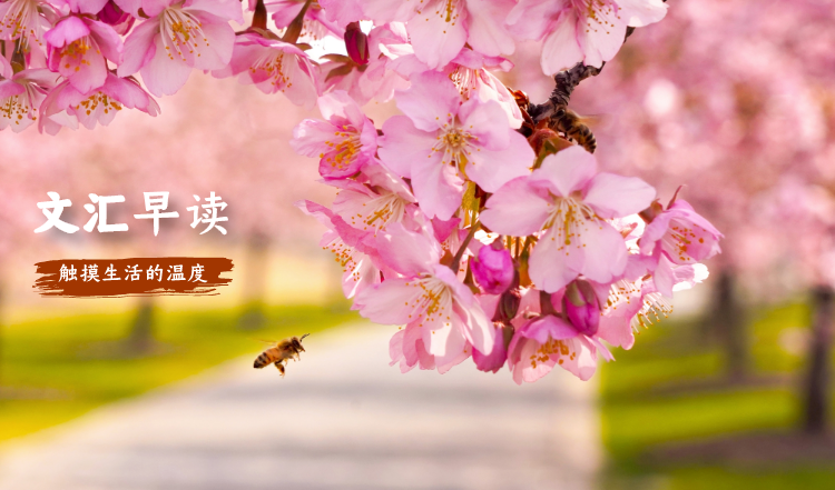 早读封面-看心情_自定义px_2020-02-25-0.png