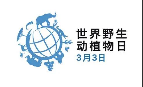 微信图片_20200303170942.jpg