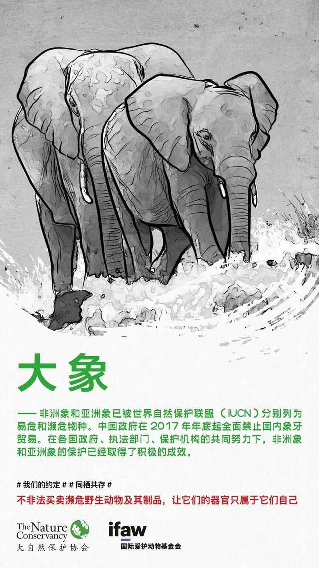 微信图片_20200303171105.jpg