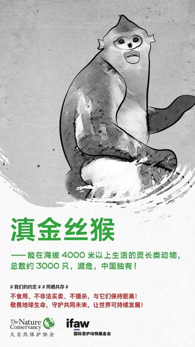 微信图片_20200303171131.jpg