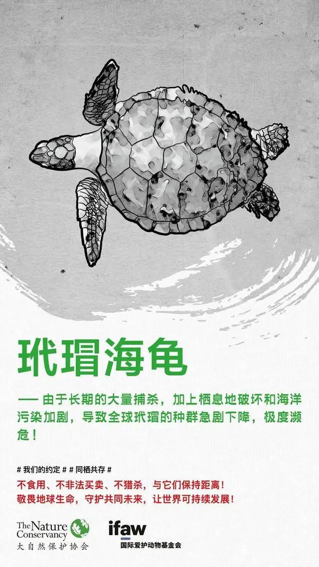 微信图片_20200303171151.jpg