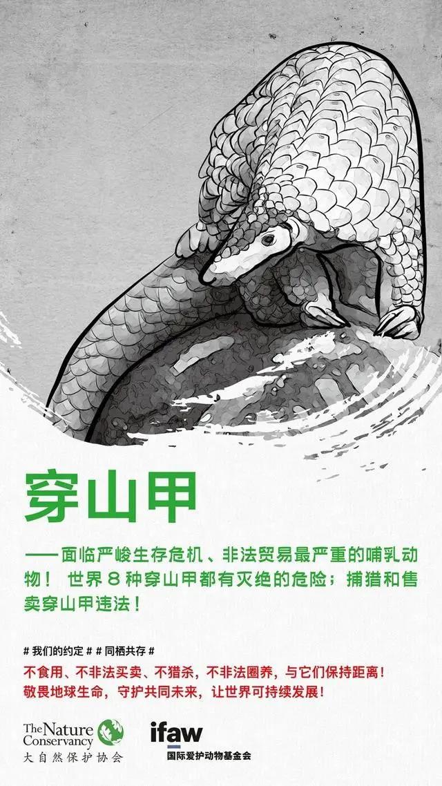 微信图片_20200303171213.jpg