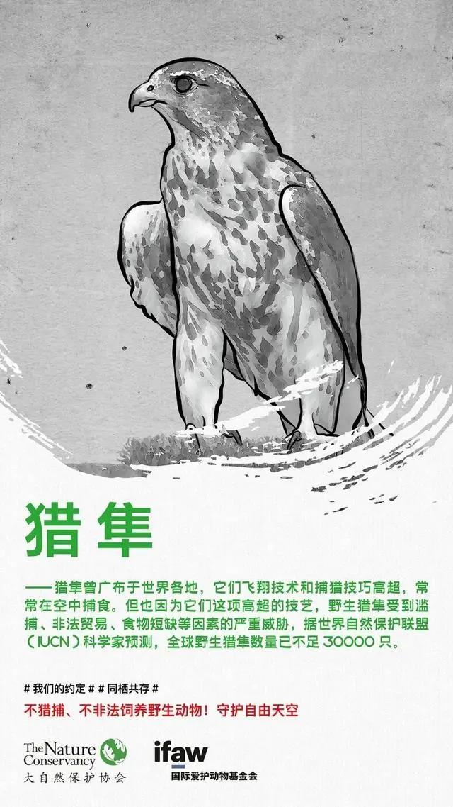 微信图片_20200303171231.jpg