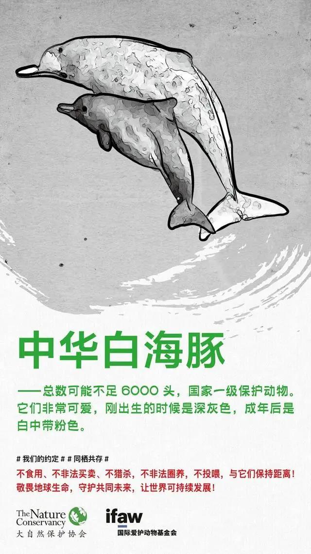 微信图片_20200303171248.jpg
