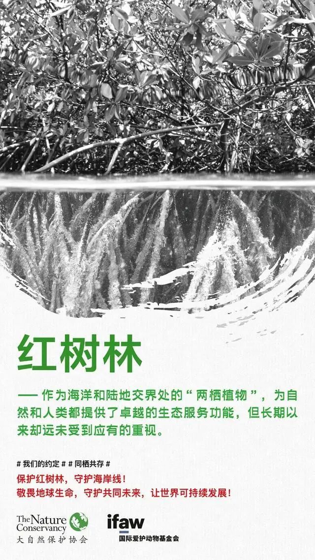 微信图片_20200303171307.jpg