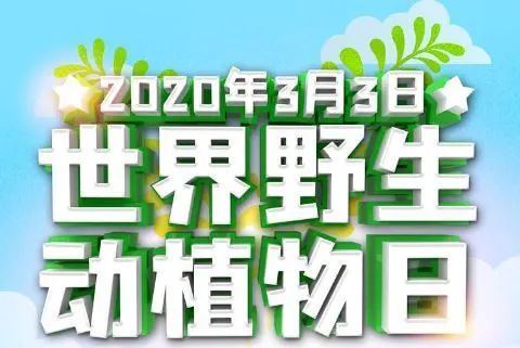 微信图片_20200303171322.jpg