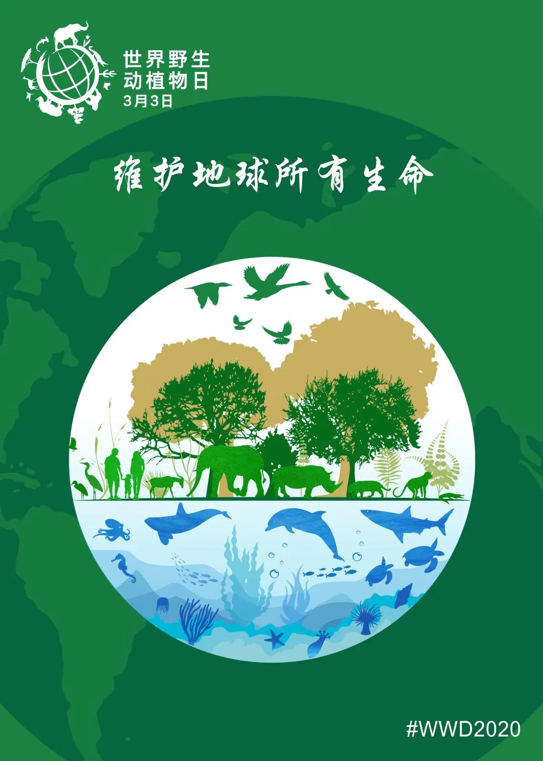 微信图片_20200303171330.jpg