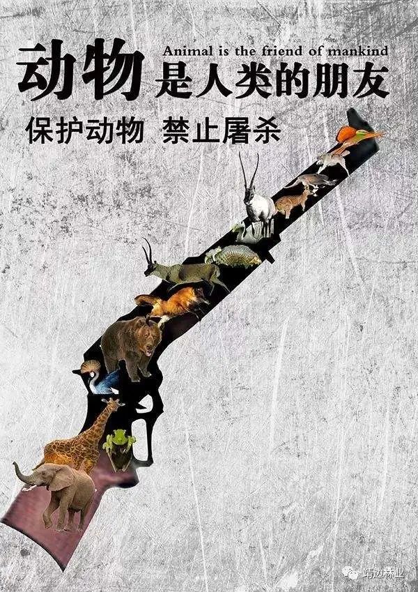 微信图片_20200303171337.jpg