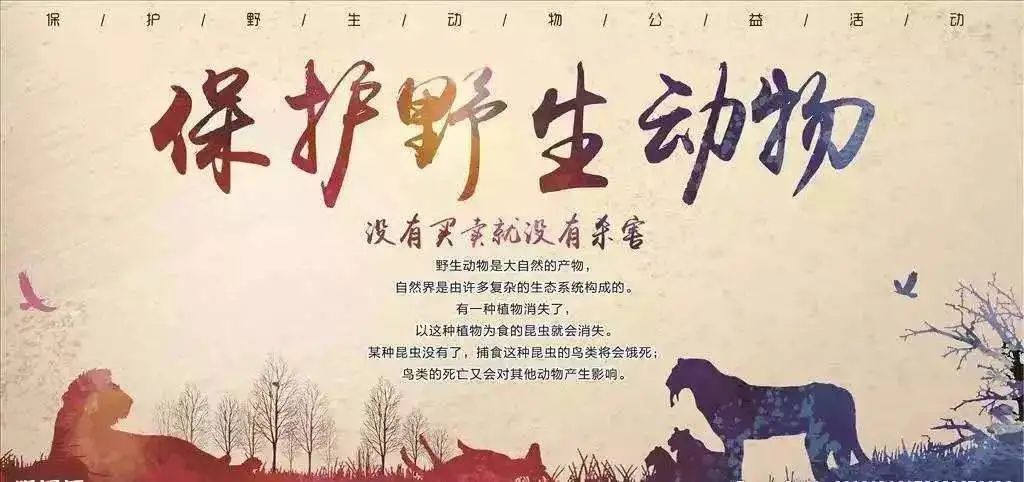 微信图片_20200303171347.jpg