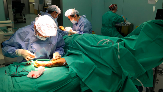 屏幕快照 2020-03-10 上午10.59.29.png