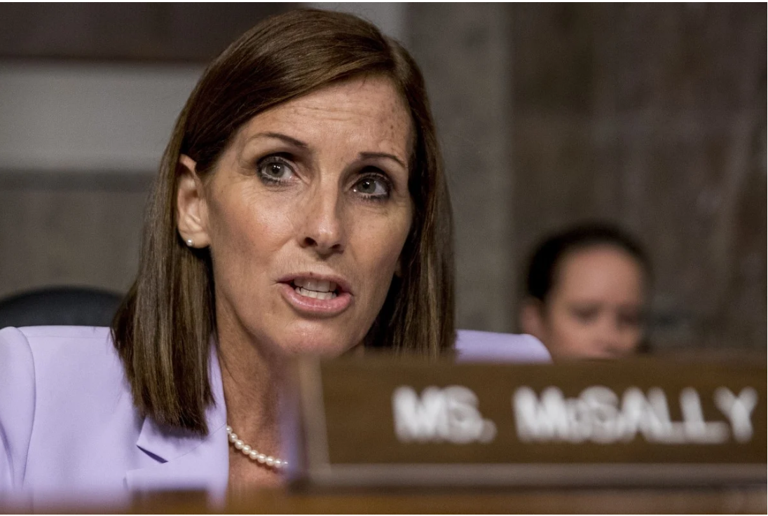 亚利桑那州共和党参议员玛莎·麦克萨利(martha mcsally).