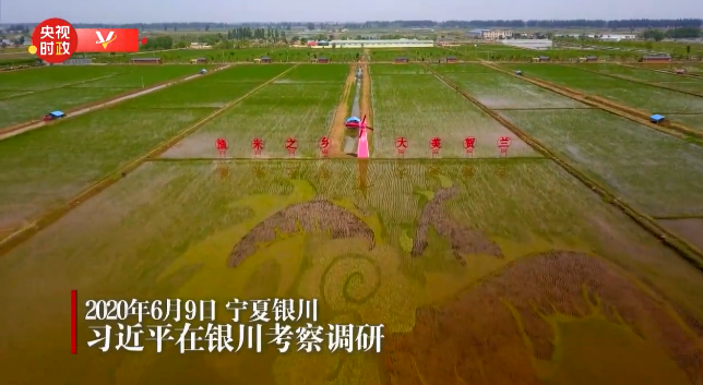 微信截图_20200611084236.png