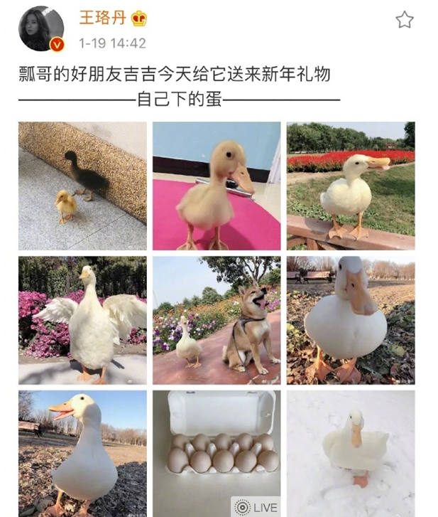 微信截图_20200703154532.png