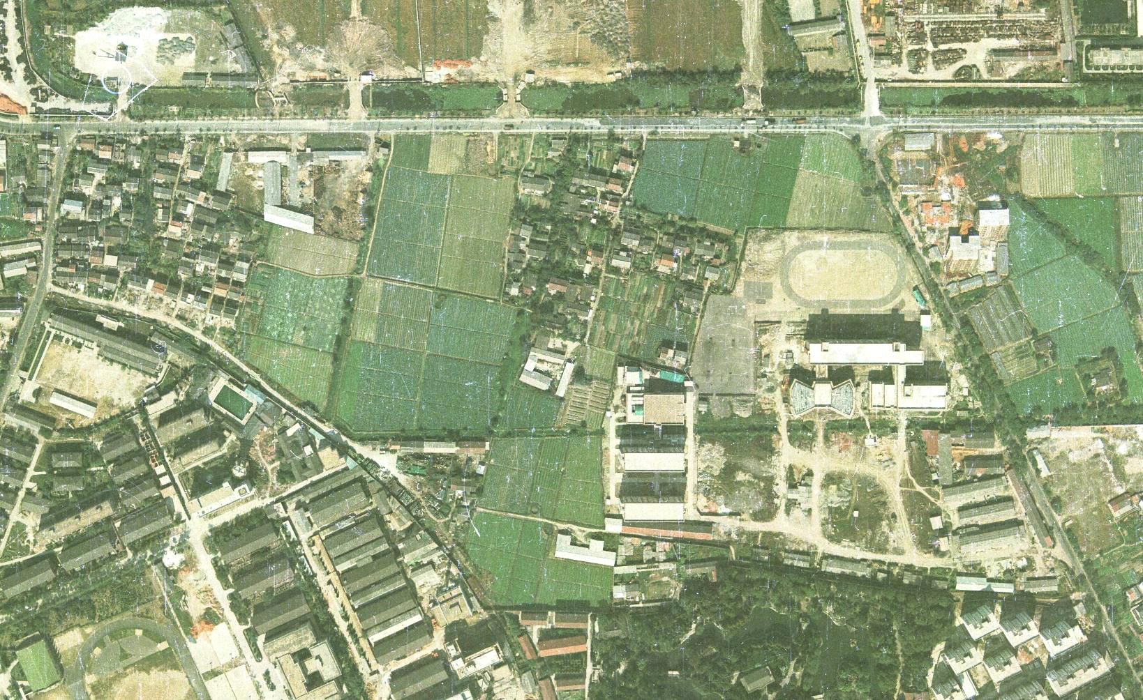 1984.jpg