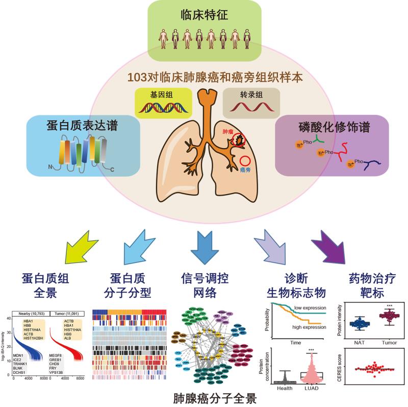 微信图片_20200709212139.jpg