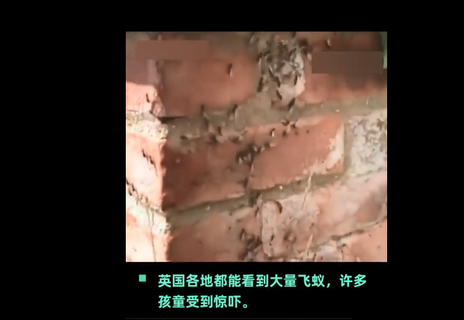 微信截图_20200720133038.png