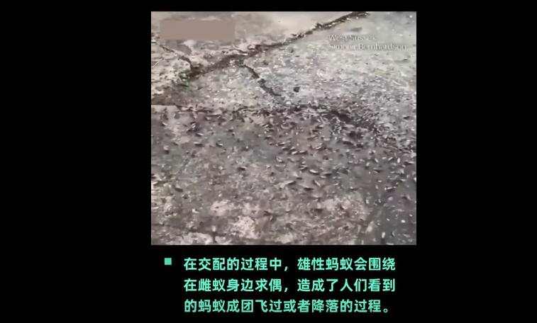 微信截图_20200720133052.png