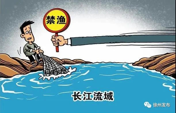 长江干流江苏段水域禁捕,从今天开始,不捕!不卖!不买!不食!