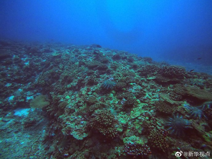 654b47daly1ghhjie2ws7j21400u04qp.jpg