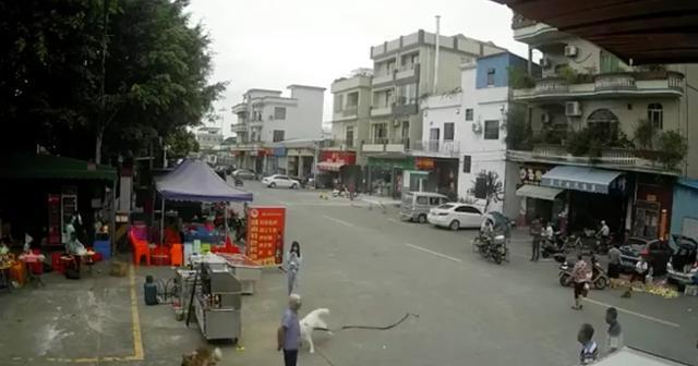 2020_0819_588514b8j00qfamo7000vd000hs009cp.jpg