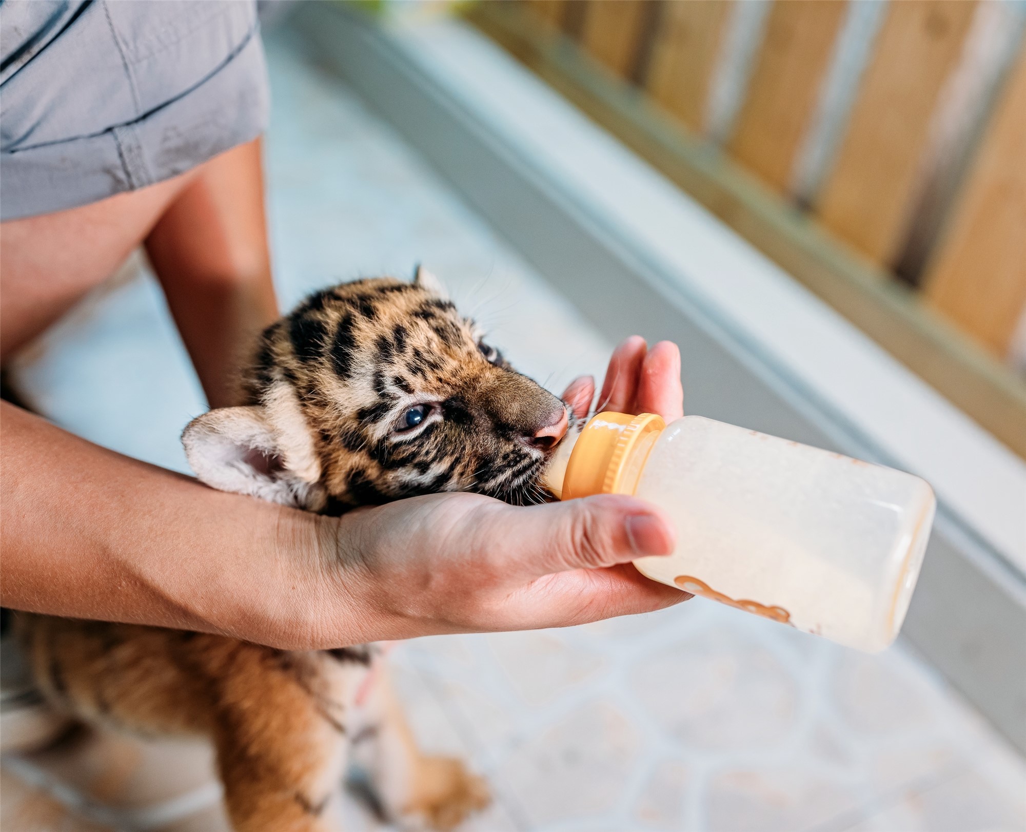 CONG3556-20200819-CongYi-5527 x 4480_副本.jpg