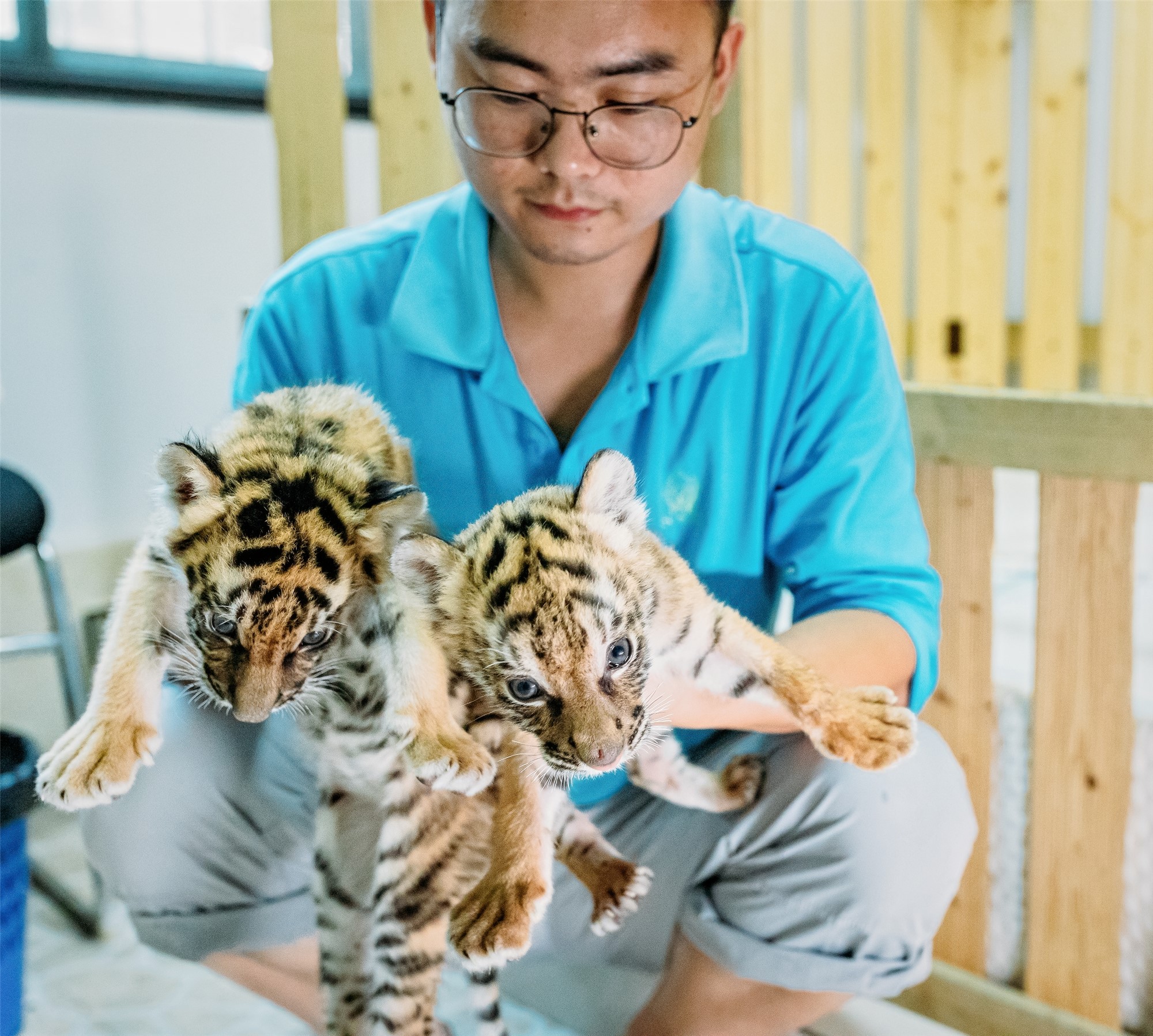 CONG3701-20200819-CongYi-4985 x 4480_副本.jpg