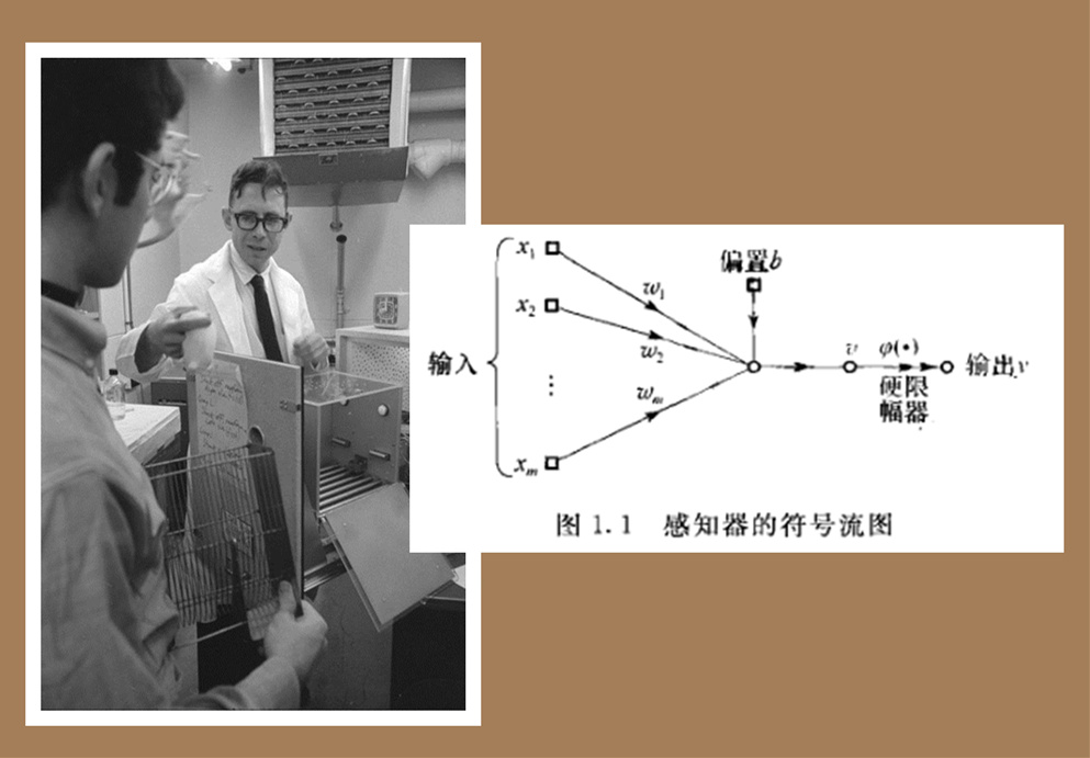 Rosenblatt于1958年发布的感知器算法，算是机器学习鼻祖级别的算法。其算法着眼于最简单的情况，即使用单个神经元、单层网络进行监督学习（目标结果已知），并且输入数据线性可分。_副本.jpg