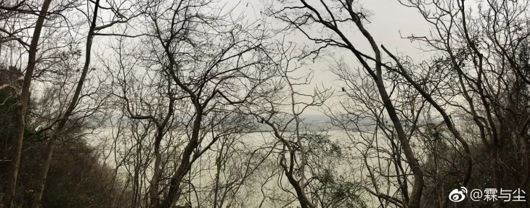 追慕3.jpg