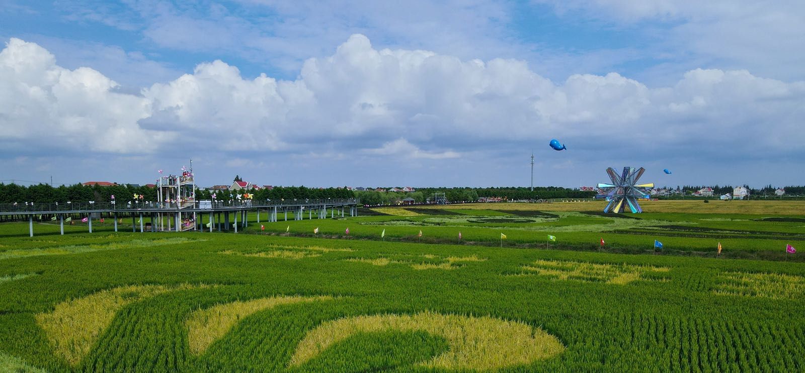 大地之美摹画横沙四季,"一环三乡九园十八景"在不远的