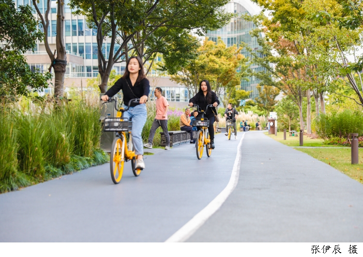 国庆期间的杨浦滨江，市民正在健身步道旁骑着自行车，游览这条生活秀带。.jpg