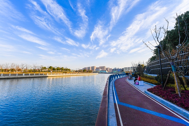 20201204 (19 - 22).jpg