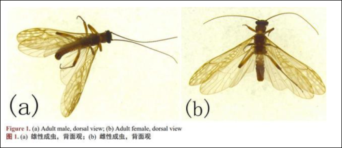 微信图片_20210215105853.png