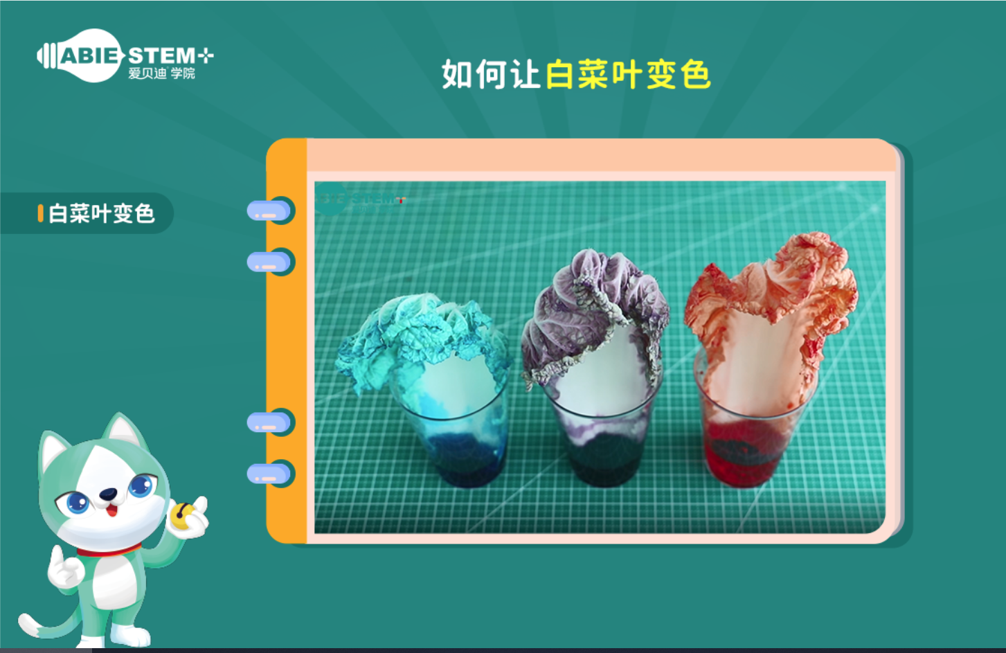 0013-keyancx3594246.png