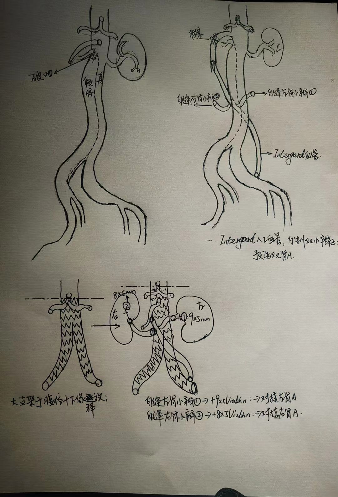 微信图片_20210426170324_副本.jpg