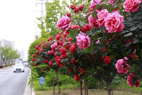 binary_middle (1).jpg