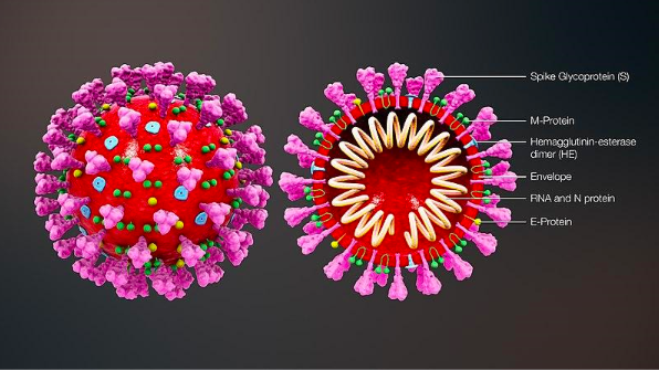 屏幕快照 2021-05-15 下午3.11.54.png