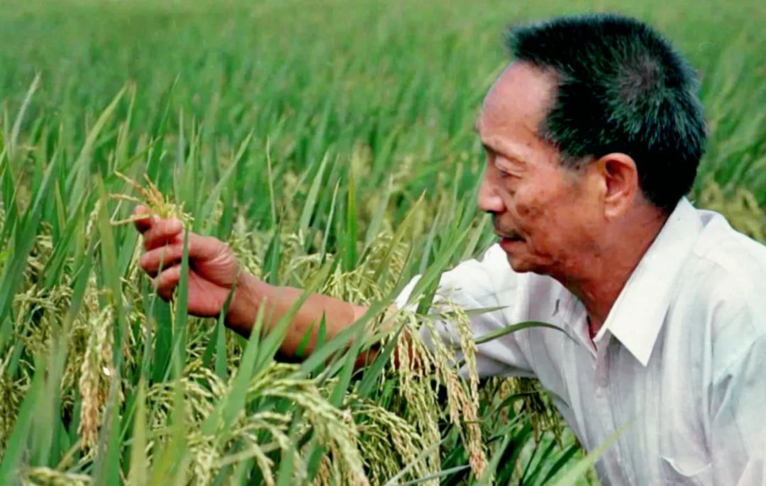 新华社记者 殷菊生 摄 