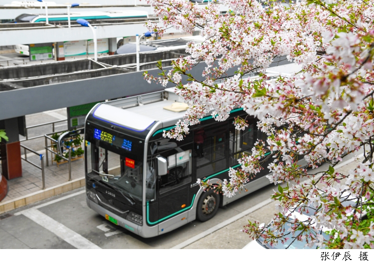 3098333_w750 (1).jpg