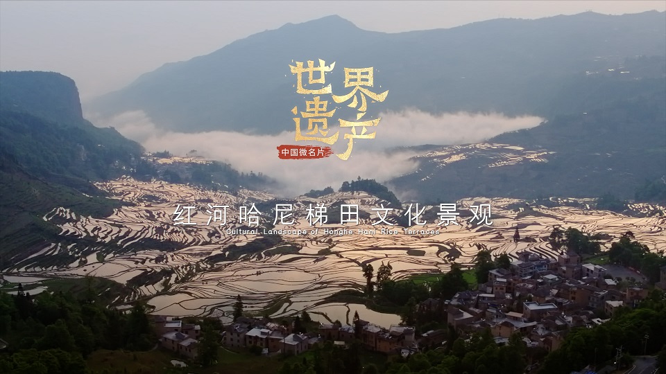 红河哈尼梯田文化景观.jpg