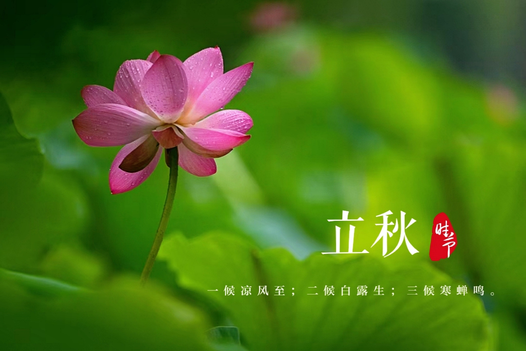 微信图片_20210807104325.jpg
