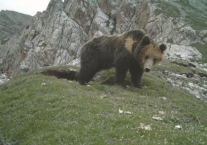70829_p13.jpg