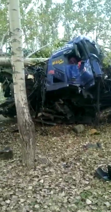 央视新闻客户端 图