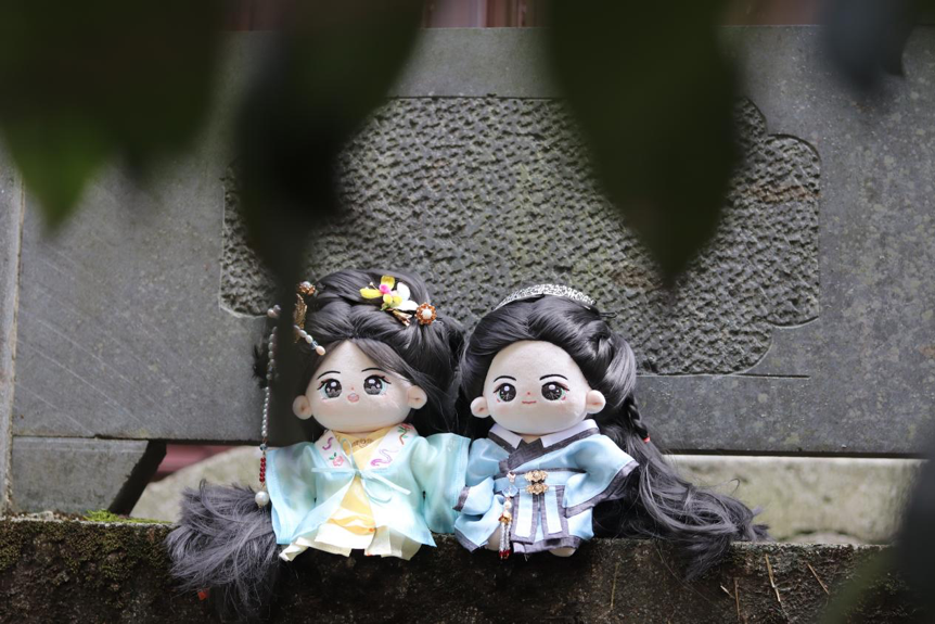 棉花3.png