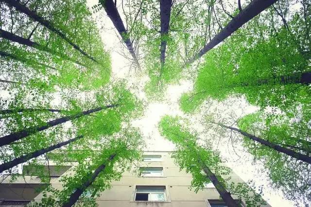 上海师范大学4.jpg
