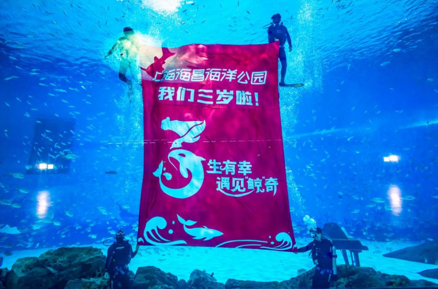 海昌4.JPG