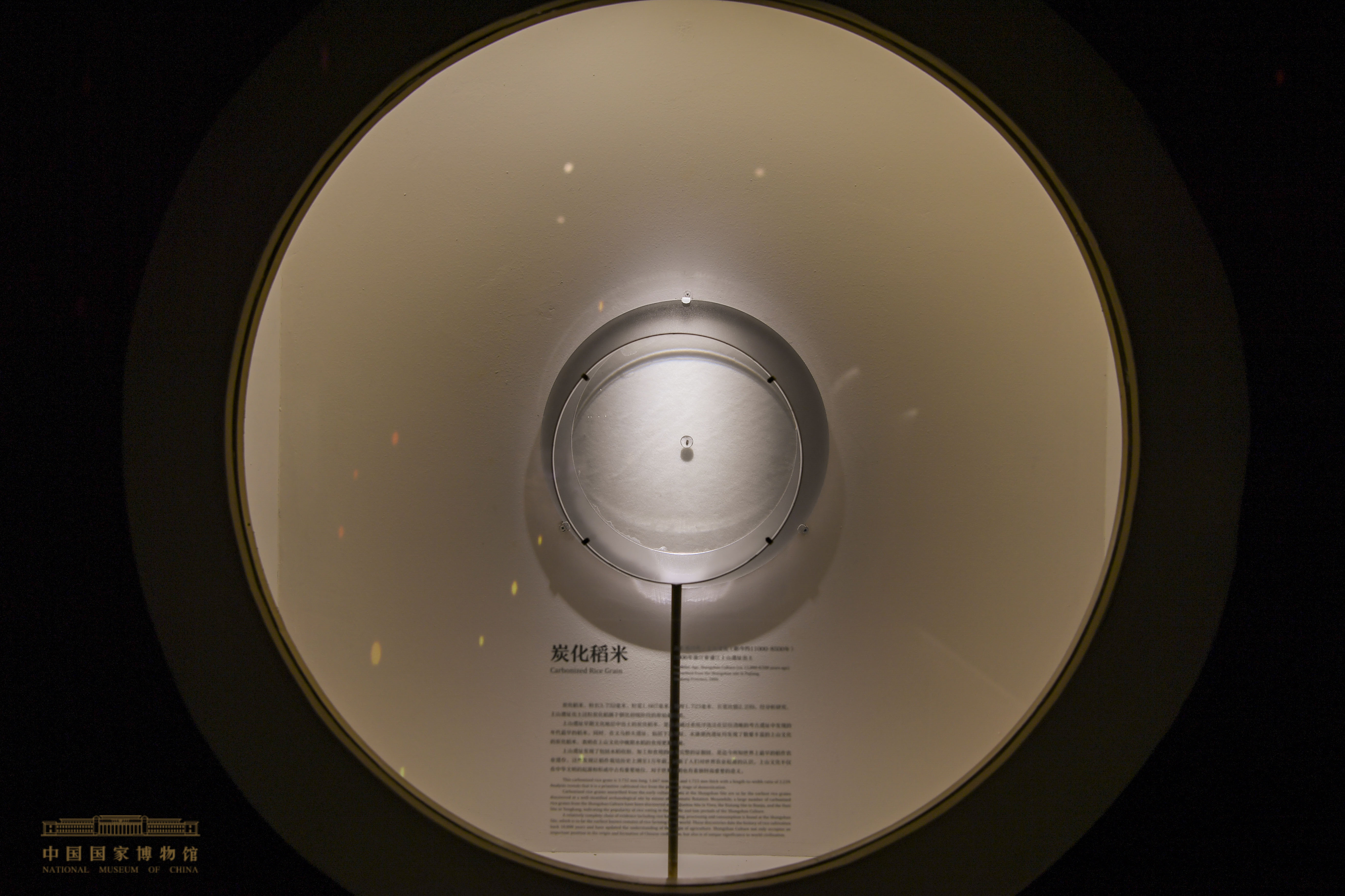 YGC_0836.jpg