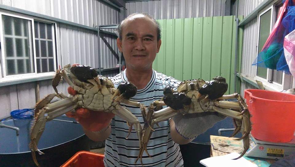 台湾蟹农展示自己养的螃蟹.jpg