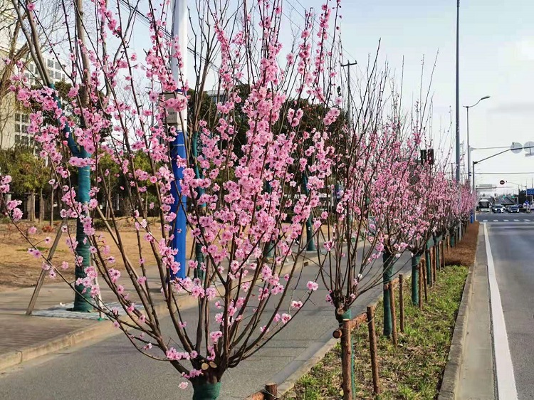 宝山铁山路.jpg